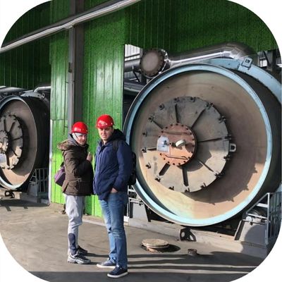 Facilité d'installation de pyrolyse du charbon Catalyseur pour la pyrolyse du plastique